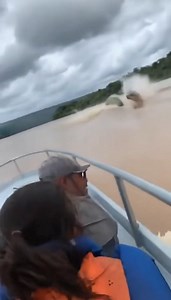 I didn’t realize fish could move THIS fast #flyingfish #nature #wildlife #river | Status.ai