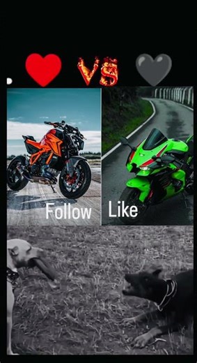 KTM SUPER DUKE Fans GO HEAD TO HEAD With NINJA H2r LOVERS?#ktm #duke1390 #kawasaki #ninja #h2r #yt
