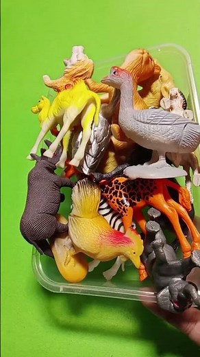 Mini Zoo Animals & Birds ASMR 🦁🐦 | Toy Tapping & Satisfying Pattern