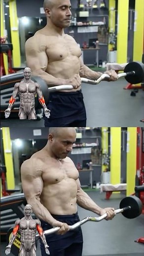"Supinated vs. Pronated: Which Barbell Curl Builds Bigger Arms?"#shorts #fitness #motivation