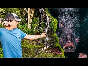 WILD Hawaiian HOG HUNT {CATCH CLEAN COOK}