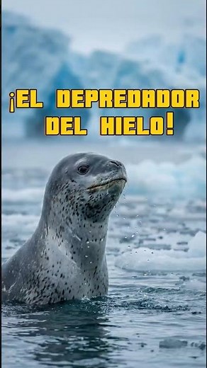 El Leopardo Marino: El Depredador Invisible de la Antártida ❄️