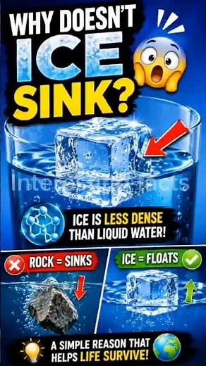 Why Does Ice Float Instead of Sink? 🧊😱 #facts #interestingfacts #icefacts #science