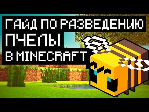 Minecraft | Гайд по разведению пчел
