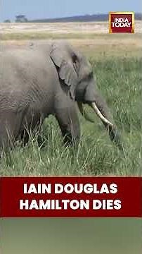 British Zoologist and Save the Elephants Founder Iain Douglas-Hamilton Dies at 83
