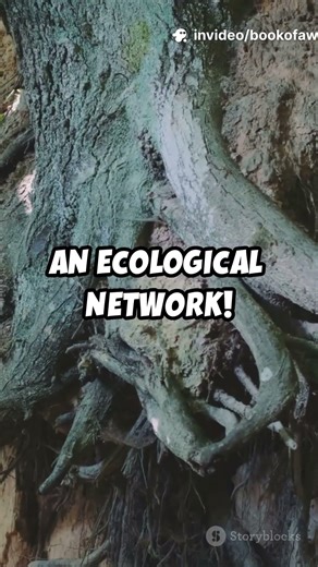 How Ecological Networks Keep Nature in Balance #nature #network #ecology #worldresearchawards