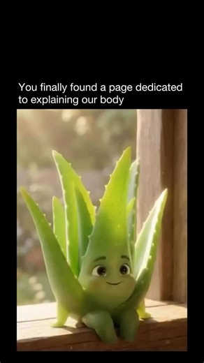 Explaining Our Body on Instagram: "Some different plant benefits"