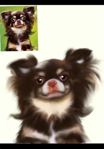 Procreate Brush Set for Pet Portraits | Realistic Fur Detail | Animal Drawing and Painting Brushes | Instant Download - Etsy