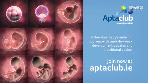 Conception explained 正常受孕过程