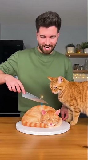 Real Cat Freaks Out! | he Cuts a Cat Cake 🤣🤣 OMG Cute Cat! #catcake #funnycat #catlovers #animals
