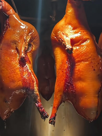 Get Your Roast Duck Oven with Free Tutorial