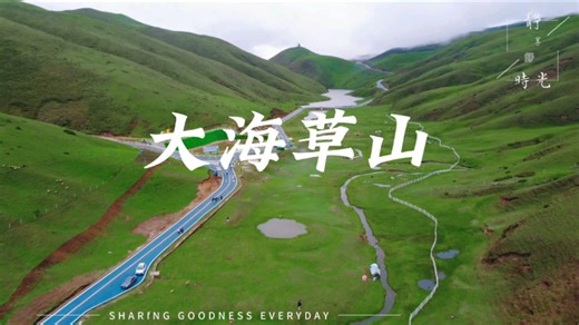 去不了呼伦贝尔！那就来会泽大海草山看看吧，宝藏草场美如画#大草原 #大草原美好生活 。