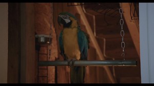 Mary Chris Max (2025)