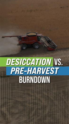 22K views · 143 reactions | Here is the difference between desiccation and pre-harvest burndown. | Ag PhD | Facebook