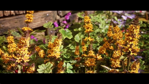 4.2K views · 42 reactions | Environment Artist Raghav Verma has shared a quick breakdown of the Swamp Haven project, where every asset, including the foliage, was made by the artist himself with Maya, ZBrush, and Unreal Engine 5. Read the interview: https://80.lv/articles/making-a-detailed-3d-swamp-environment-from-scratch-with-zbrush-ue5/ | 80 Level | Facebook