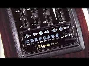 Takamine TF340SBG Acoustic Guitar