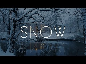 The Beauty of Snow at Michigan State University