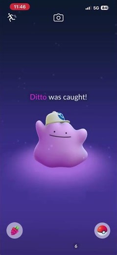 Combee catch for ditto