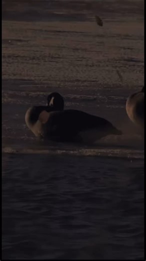 1.2K views · 61 reactions | Subscribe and share ✝️ In God We Trust  God bless you #psalms #thebible #biblelettering #newtestament #journalingbible #bibleverse #biblequote #biblestudy #30daysofbiblelettering #bibleapp #biblical #biblefor21 #bibleart #bible #testament #biblejournaling #lensbible #oldtestament #biblejournalingcommunity #bibleverseoftheday #newtestament #biblescripture #biblereading #verifiedgospel | Songs of Heaven | Facebook