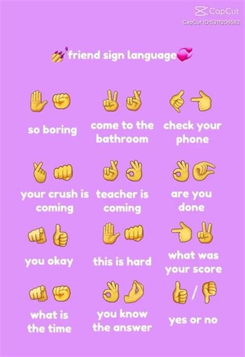 Friend sign language!😝