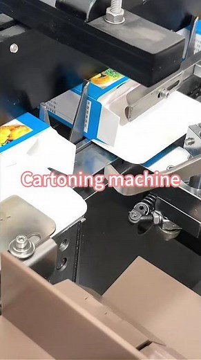 Automatic Cartoning Machine | High Efficiency Carton Packing Machine