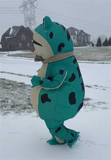 Frog Enjoying Snow Fun with Inflatable Suit