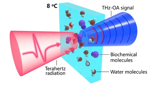 Terahertz optoacoustics allows real-time monitoring of blood sodium levels – Physics World