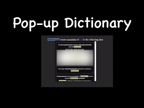 Anki: Pop-up Dictionary