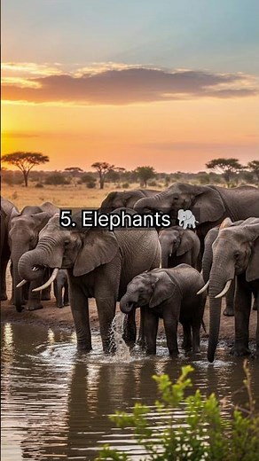 Top 10 Smartest Animals in the World 🌎 2025 | Most Intelligent Creatures on Earth