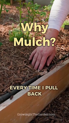 Free Mulch for Desert Gardens: Save Water & Protect Soil