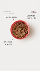 85 reactions · 3 comments | Ollie creates fresh meals with a simple mission: your dog’s wellness. Better nutrition leads to a happier, healthier life. ✨  Custom meal plans for your pup 凌 100% fresh, human-grade ingredients 喙 Formulated with veterinary nutritionists  Unlimited routine health screenings ⭐️ Thousands of raving reviews Discover the perfect meal plan for your dog with a quick 1-minute quiz! | Ollie | Facebook