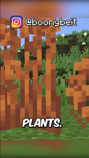 NEW MINECRAFT BIOMES