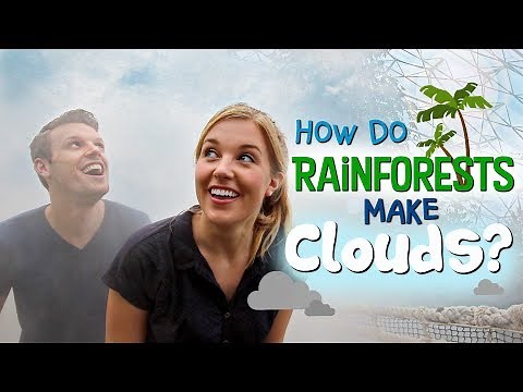 How Do Rainforests Make Clouds? | Maddie Moate