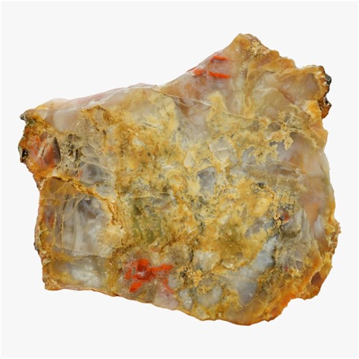 Coprolite Slab - Wispy Cream Agate Pattern - Etsy Canada