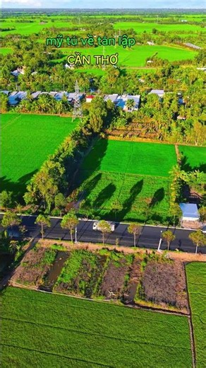 My Tu returns to Tan Lap, My Tu Commune, Can Tho City .....#westernvietnamdreamvlog #mytu #cantho...