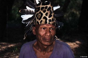 Descubre Todo Sobre los Ayoreo y mucho mas de ellos