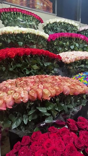 Stunning Display of Fresh Roses in Flower Shop