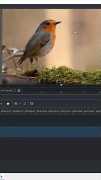 Kdenlive Tutorial: How to Blur in Kdenlive