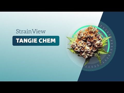 Tangie Chem - Strainview