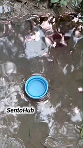 1.1M views · 4.4K reactions | Experiment with pen ink on bottle caps || #Camping #bushcraft #trapping #survival #outdoor #skills #sentohub | Sentopro | Facebook
