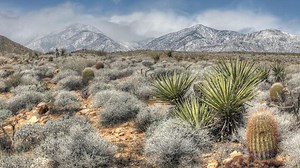 Two rescued from Mount San Gorgonio after hiker slips on icy trail, slides about 150 feet
