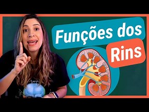 Funções dos RINS! Sistema Urinário
