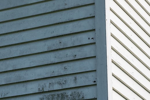 How to Remove Green Algae from Vinyl Siding? (Step-by-Step Tutorial)