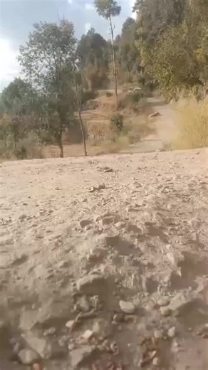 Significant Events on December 3rd in History