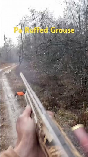 Pa Ruffed Grouse Hunting