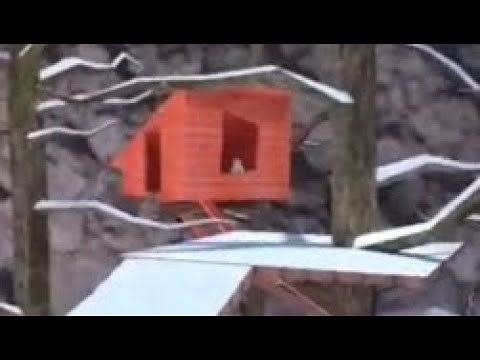 Banshee sighting in gorilla tag