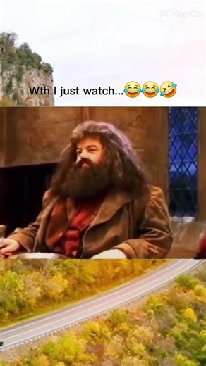 Harry Potter Song 🎵 #harrypotter #meme #songs