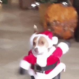 Stepping into Christmas like ... 藍 Get into the Christmas spirit with Hochanda and check out what we have coming up for you this week  https://bit.ly/3bLffaM | The Craft Store | Facebook