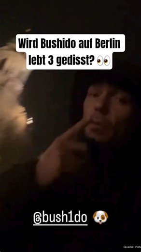 CAPITAL BRA ANSAGE AN BUSHIDO: Werden Capi und Samra Bushido dissen? #capitalbra #bushido #samra