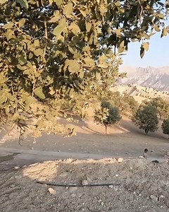 184K views · 2.1K reactions | Camping with Nomad Family Nomad Life | Cooking TV | Facebook